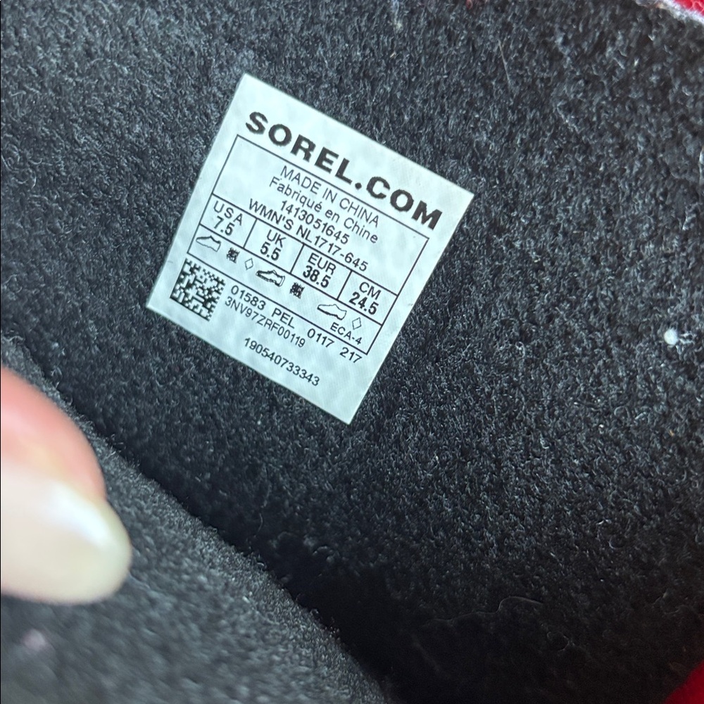 Red sorels - Picture 2 of 5